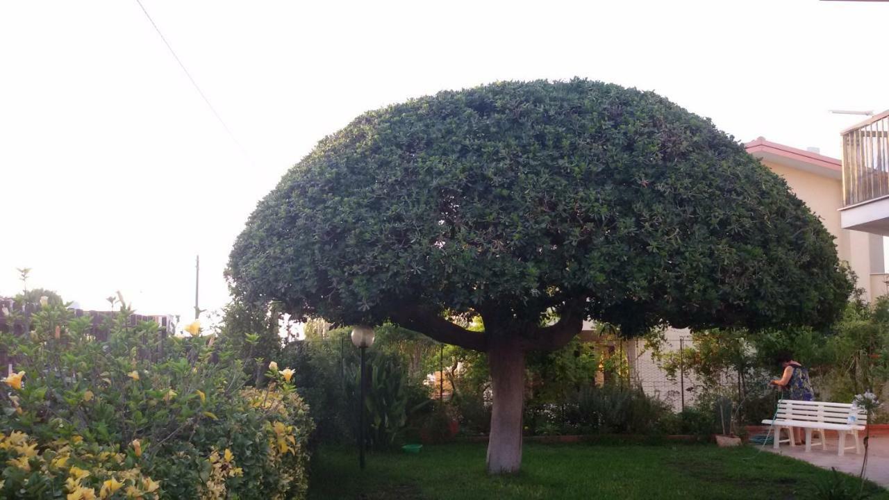 Vila Casa Di Poseidone Brucoli Exteriér fotografie
